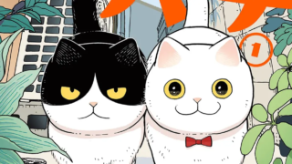 Hachi-Maruru-Newsbild